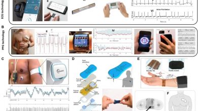 bridging-technology-and-holistic-wellness:-a-deep-dive-into-qi-coils-and-energy-healing