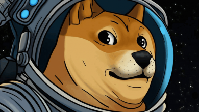 excitement-grows-for-spacex’s-doge-1-lunar-mission,-now-expected-in-2025