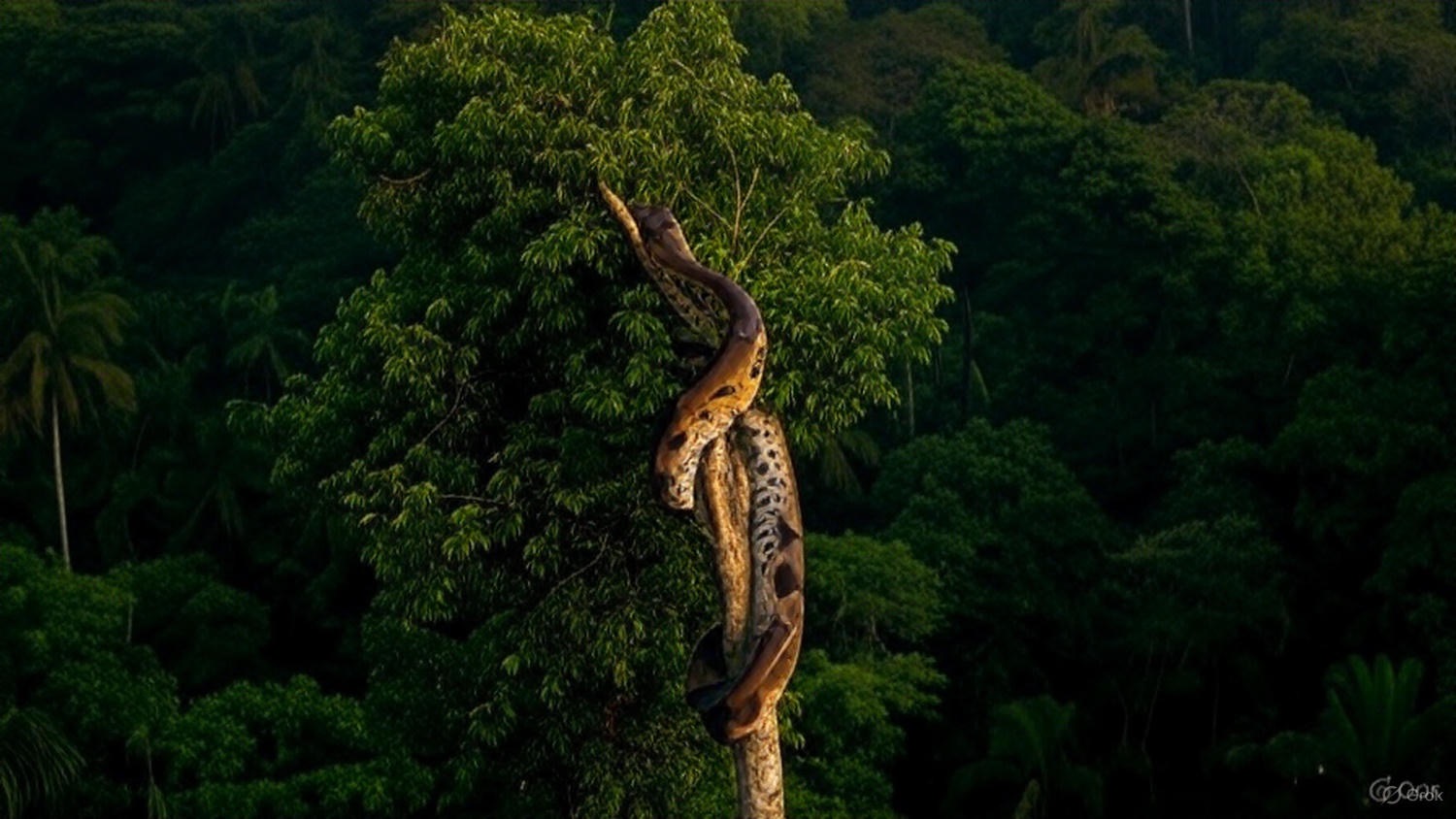 the-ideal-length-of-time-to-hold-a-mortgage-until-paying-it-off